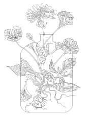 naturelab_black-on-transperant